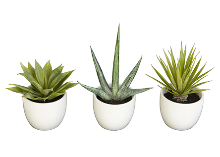 Bathroom Décor & Accessories Bathroom Décor & Accessories